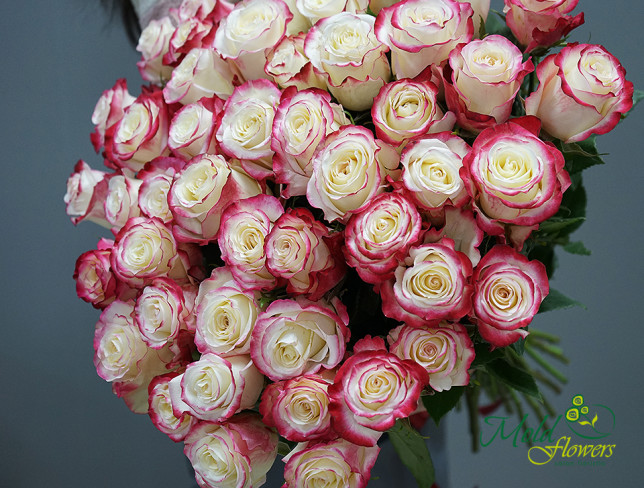 Ecuador Roses 70 cm Sweetness photo